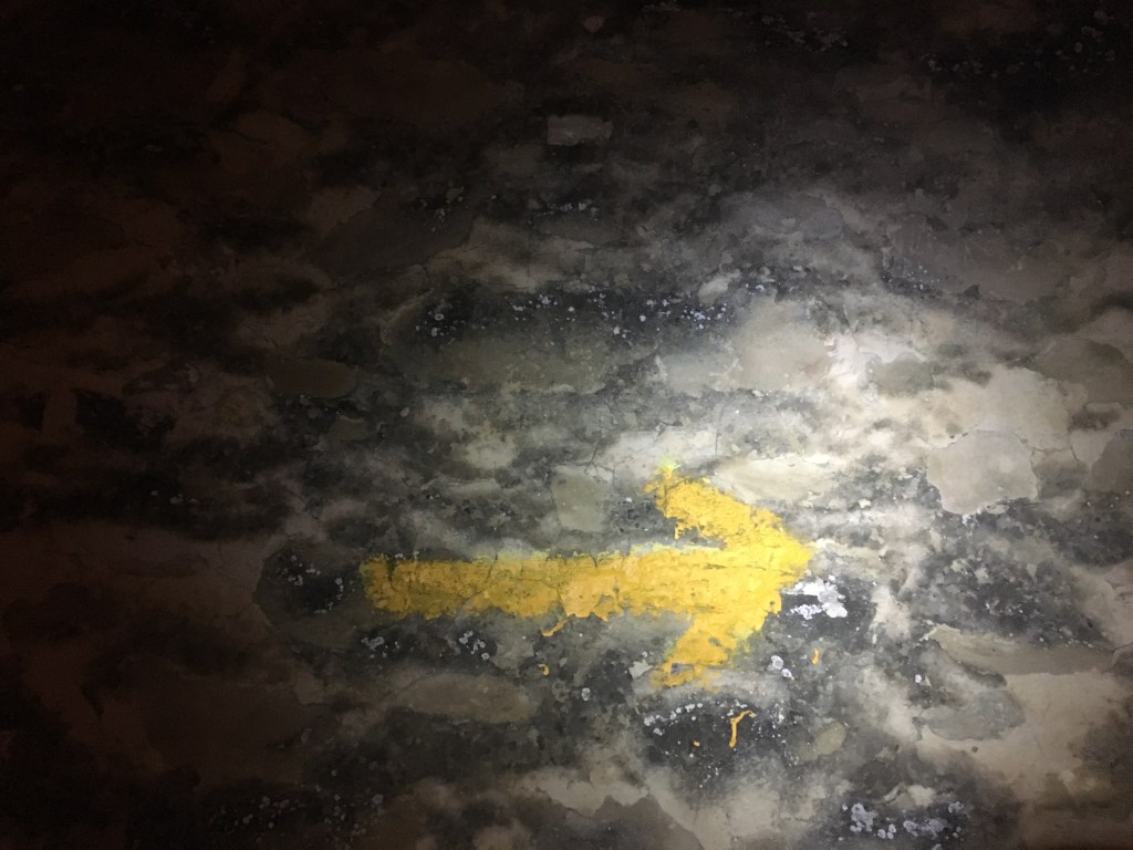 A Very Expected Long&nbsp;Journey