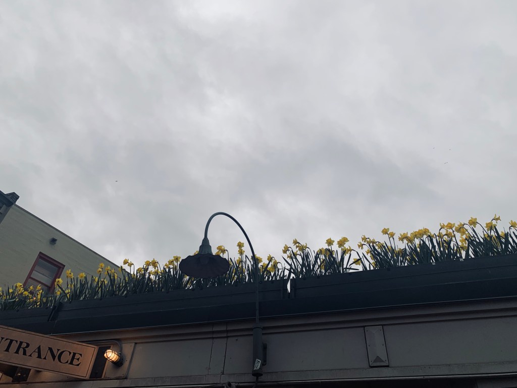 Pandemic Diary: February 29-March&nbsp;12